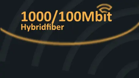 1000/100Mbit